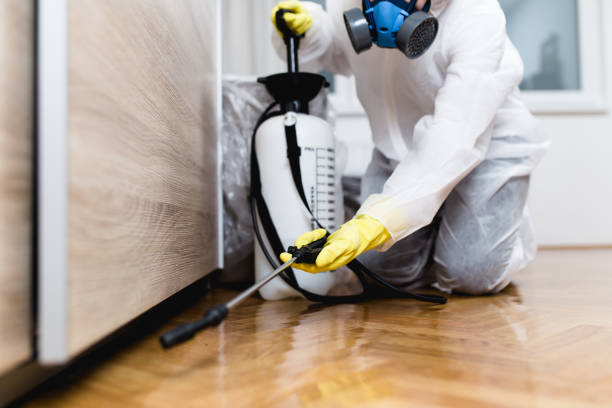 Reliable Thomasville, NC Pest Control Solutions