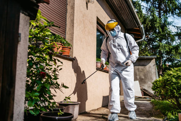 Best Best Pest Control Companies  in Thomasville, NC