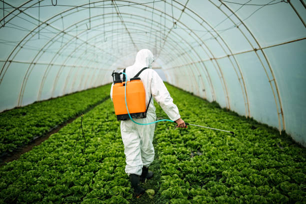 Best Mosquito Control Services  in Thomasville, NC