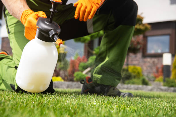 Best Exterminator Services  in Thomasville, NC