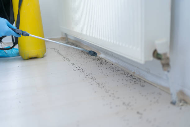 Best Local Pest Control Services  in Thomasville, NC